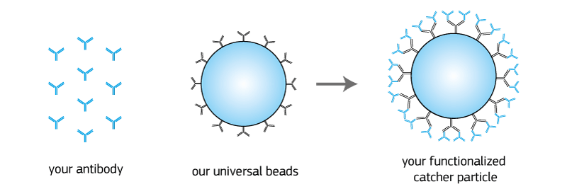 Universal pluriBead  - Scheme